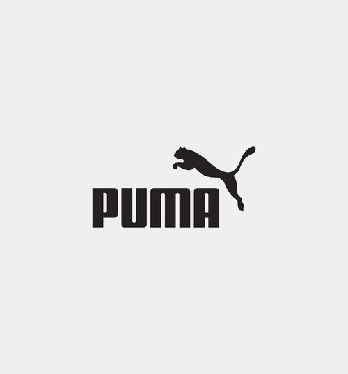A$AP Rocky x PUMA Leopard Tee Short Sleeve Shirt - Brown/Black - 636099-05