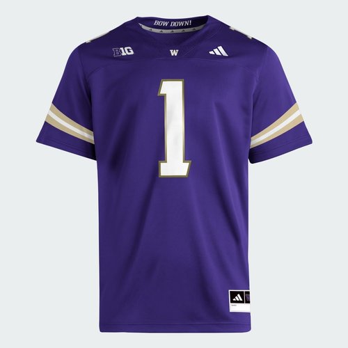 adidas Washington Huskies Premier Home Football Jersey - Collegiate Purple/White/Team Sand/Ncaa-Wtn-6va - JM5615