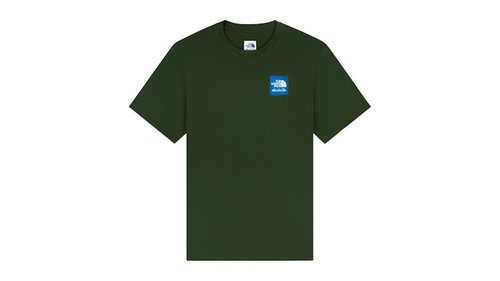 Aime Leon Dore x The North Face Logo Tee Shirt - Kombu Green