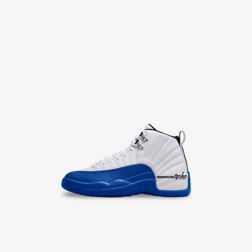 Air Jordan 12 Retro 'Blueberry' 151186140 Solesense