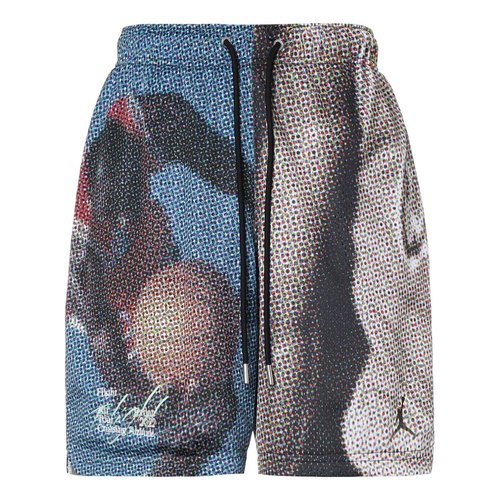 multi color jordan shorts