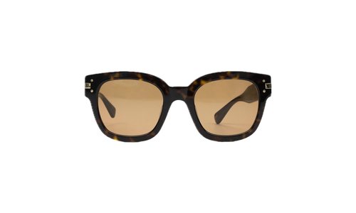 AMIRI Classic Logo Sunglasses XA41763AC_Tortoise - XA41763AC_TORTOISE/BROWN
