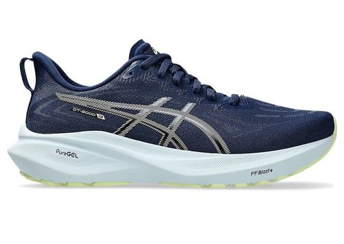 ASICS GT-2000 13 - Blue Expanse/Champagne - 1012B666.400