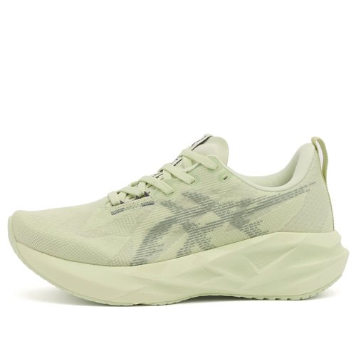 ASICS Novablast 5 - Whisper Green/Monument Blue - 1012B765.301