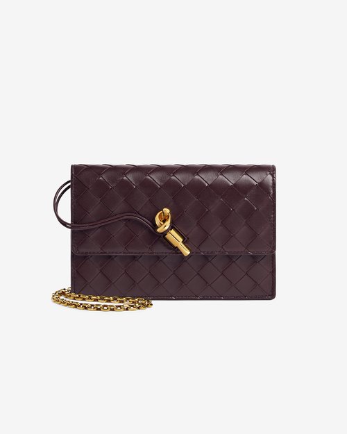Bottega Veneta Andiamo Pouch On Chain - Dark Barolo - 844107VCPP2