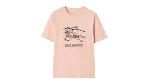 Burberry Frankie Ekd Check T-Shirt - Bouquet - 8121037