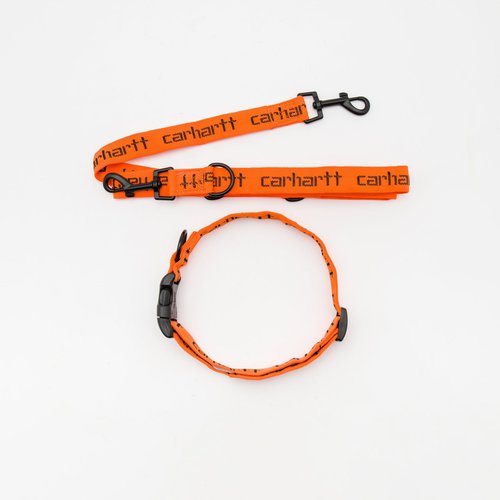 Carhartt WIP Script Dog Leash and Collar 'Carhartt Orange/Black' -  I030251_1BK_XX | Solesense