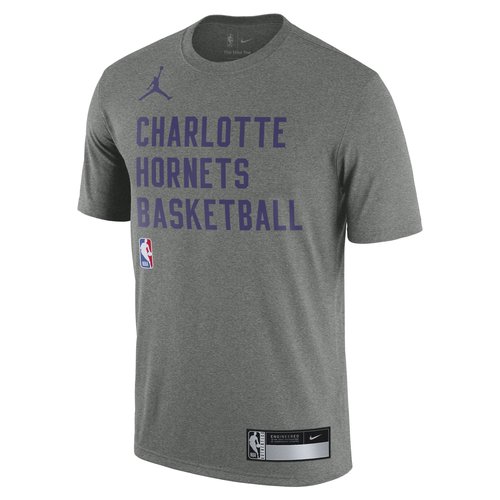 Charlotte Hornets Air Jordan Dri-FIT NBA Practice T-Shirt 'Grey