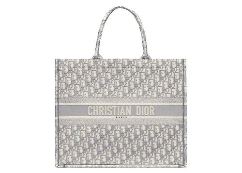 Dior Book Tote Oblique Embroidery - Gray