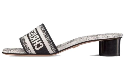 Dior Dway Embroidered Canvas Heeled Slide - KCQ902VOY_S15W
