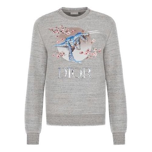Dior Tyrannosaurus Rex Cherry Blossom Zipper Sweater - Grey - 933J635B0555-880