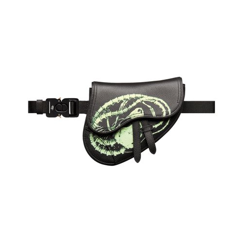 Dior x Cactus Jack Phosphorescent Motif Mini Saddle Bag | Size Onesize - 1ADPO022GNSH03E