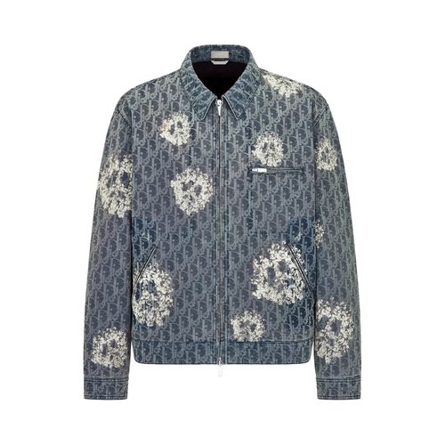 Dior x Denim Tears Zipped Blouson - 393D483BY528C580
