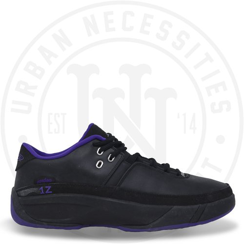 Fat Joe Air Jordan Work'M Mike Bibby PE - JBM291-M17