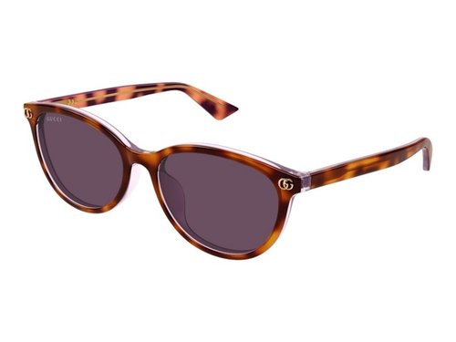 Gucci Square Sunglasses - Havana/(Gg1818Sk/004)