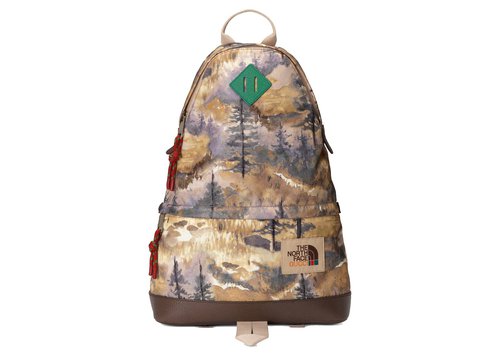 Gucci x The North Face Backpack - Multicolor