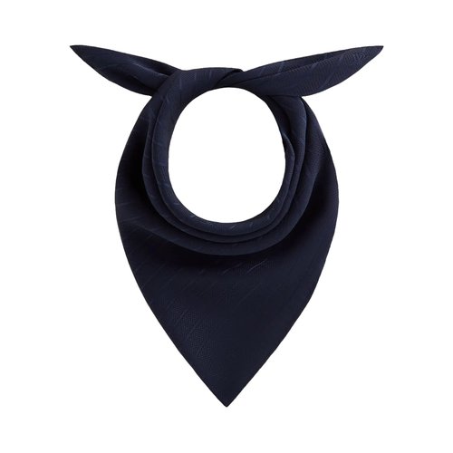 Kith Silk Cupro Jacquard Scarf - KHM10122 413