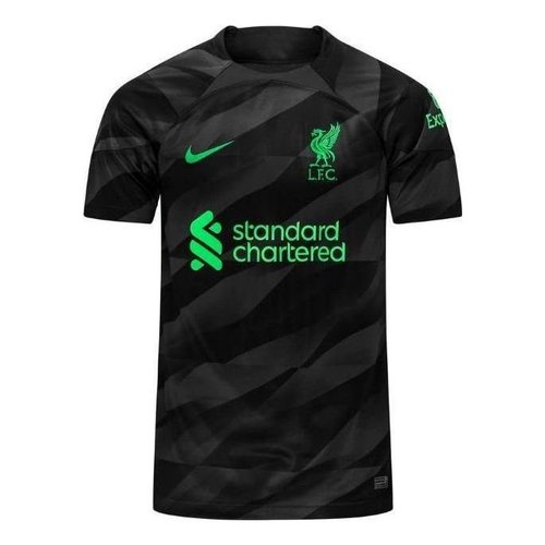 Liverpool FC 2023/24 Stadium Goalkeeper Nike Dri-FIT Short-Sleeve Soccer Jersey - Anthracite/Black/Poison Green - DX2691-061