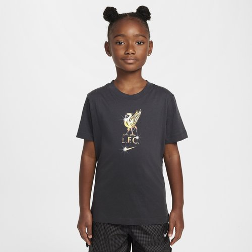 Liverpool FC Nike Soccer T-Shirt - Dark Smoke Grey - HJ4060-070