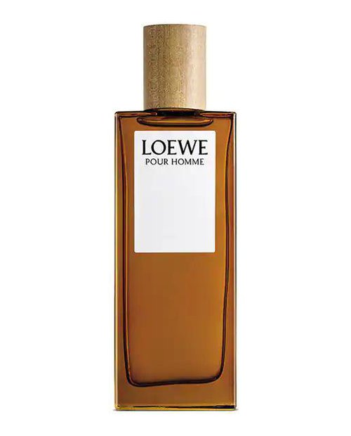 LOEWE pour Homme EDT Spray 3.4 oz Fragrances 8426017070119 - 8426017070119 OZ