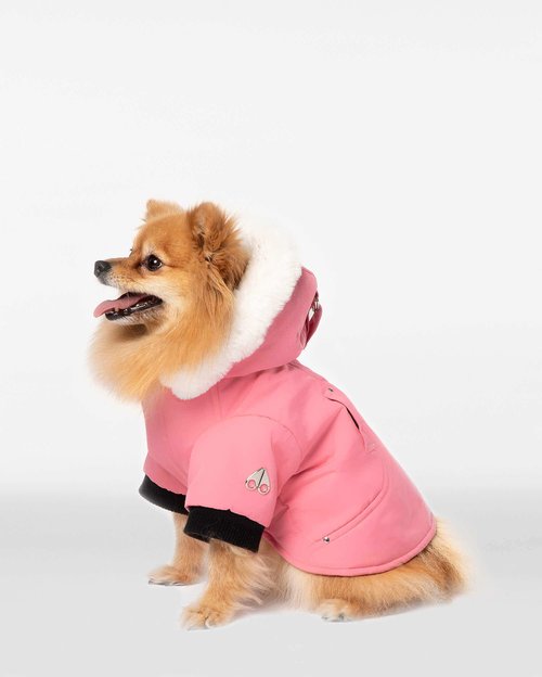 Moose Knuckles Pooch Parka - Arctic Rose/White Faux Fur - M31UA540_485