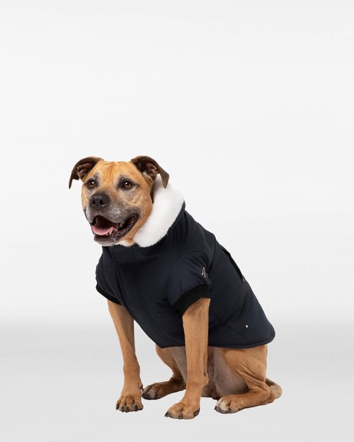 Moose Knuckles Pooch Parka - Black/White Faux Fur - M31UA540_482