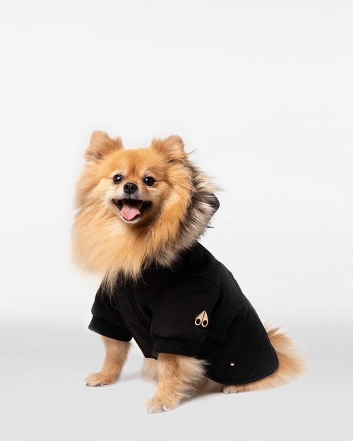 Moose Knuckles Pooch Parka - Black/Gold Faux Fur - M31UA541_486