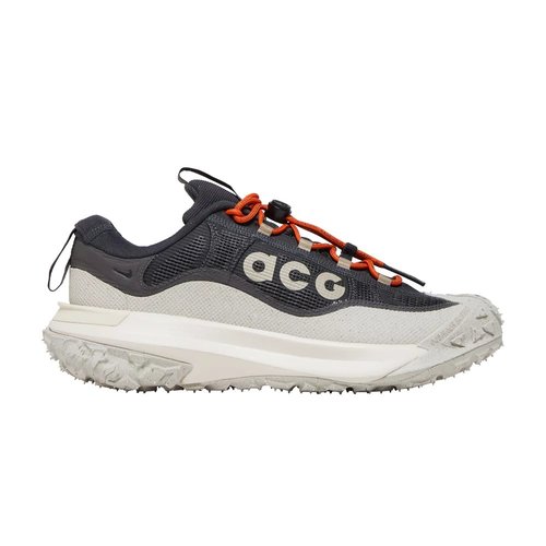 Nike ACG Mountain Fly 2 Low GORE-TEX 'Phantom Light Silver