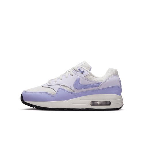 Nike Air Max 1 - Platinum Tint/Barely Grape/Black/Hydrangeas - DZ3307-011