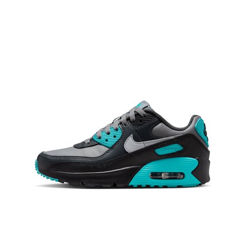 Nike Air Max 90 LTR Wolf Grey - Cool Grey/Dusty Cactus/Black - CD6864-027
