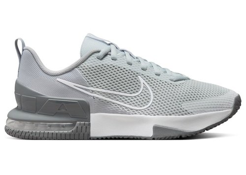 Nike Air Max Alpha Trainer 6 - Cool Grey/Wolf Grey/Pure Platinum/White - FQ1833-002