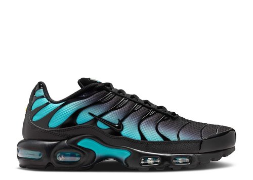 Nike Air Max Plus - Black/Dusty Cactus/Black - DM0032-016