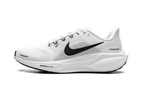 Nike Air Zoom Pegasus 41 TB | Size 9.5 - HF1538-100