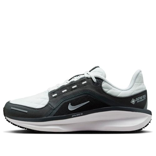 Nike Air Winflo 11 GORE-TEX - Anthracite/Black/Photon Dust - FQ1359-004