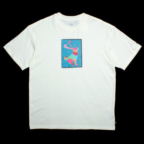 Nike Alebrijes T-Shirt - DN7299-133