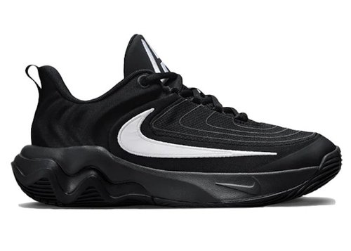 Nike Giannis Immortality 4 - Black/White/Dark Smoke Grey - FZ6734-001