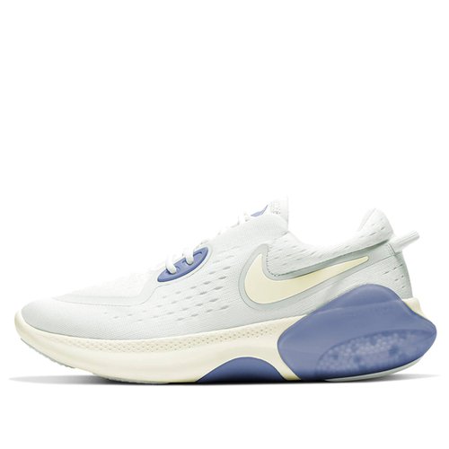 Nike Joyride Dual Run - CD4363-004 | Solesense