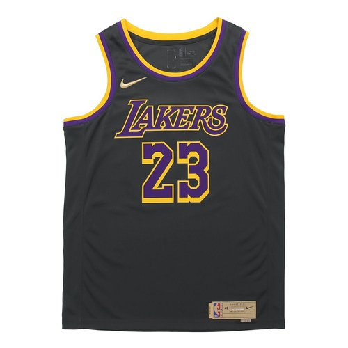Nike NBA Lebron James Los Angeles Lakers 2020/21 Fan Edition Jersey #23 - Black/Yellow/Purple - CN9929-013