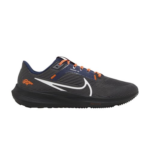 air pegasus nfl