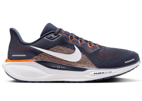 nike air zoom pegasus 36 bears