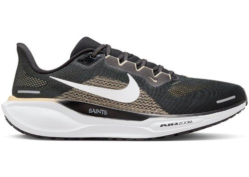 pegasus 38 saints
