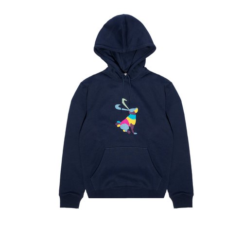 Nike SB Skate Hoodie - DH2881-410