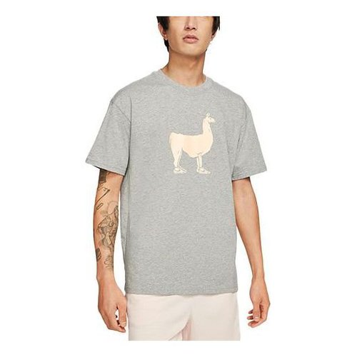 Nike SB Skateboard Printing Skateboard Loose Knit Short Sleeve Gray - Grey - DD1299-063