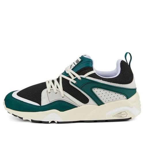 PUMA Blaze of Glory PRM - Puma Black/Varsity Green - 387575-02