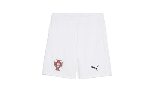 PUMA FPF SHORTS REPLICA - 779226-04