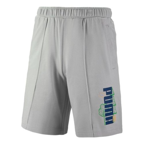 PUMA Logo Nature Shorts - Grey/Blue - 538777-09