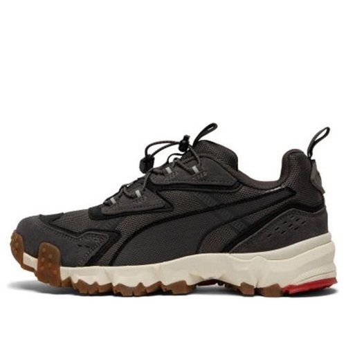 PUMA Trailfox Mts Water Gray - Grey - 372220-02