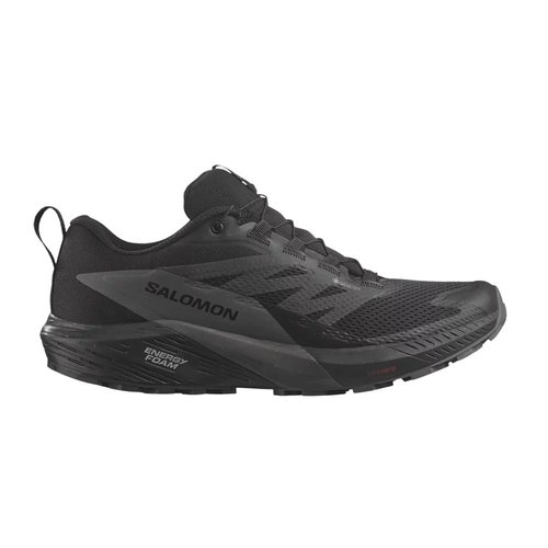Salomon Sense Ride 5 GORE-TEX - L47147200