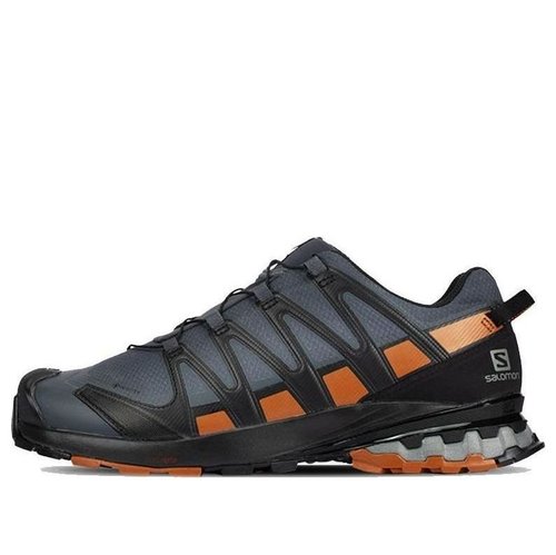 Salomon XA Pro 3D V8 GTX Wide - Grey/Brown - 410428