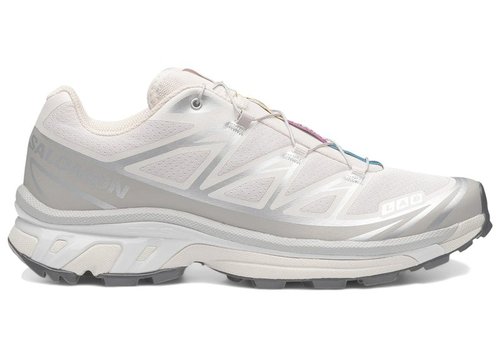 Salomon XT-6 - Rainy Day/Paloma/Footwear Silver - L47988000